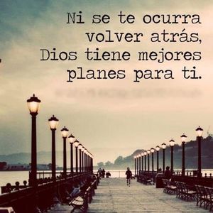 Meet your Posher, Shirley